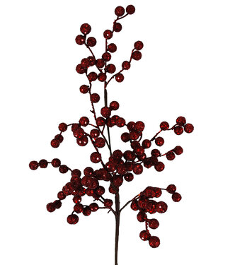Tige de mini pommes grenades rouges