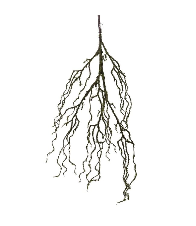 Branche de mousse verte naturelle | Tige souple et fine pour décor apaisant et organique