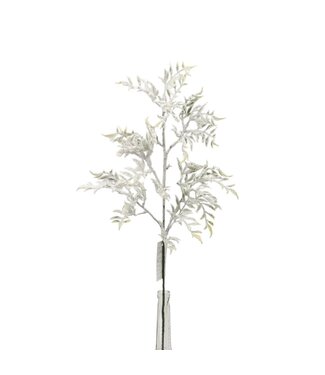 Feuilles blanches et vertes enneigées sur tige