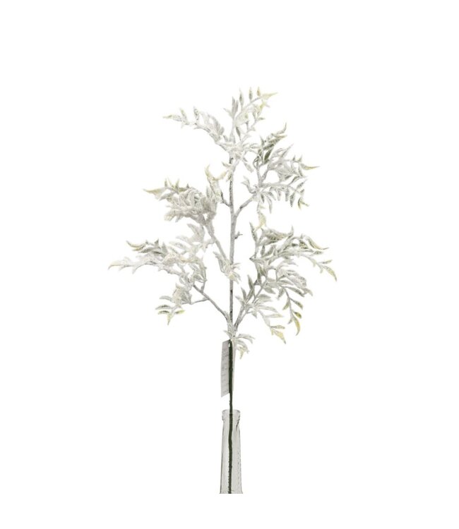 Feuilles blanches et vertes enneigées sur tige | Branche givrée pour un décor naturel et lumineux