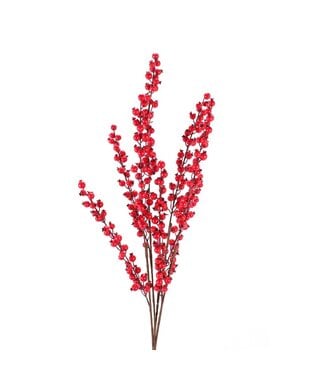 Tige de baies rouges