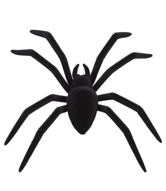 Araignée avec clip
