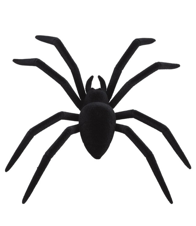 Araignée avec clip | Décor effrayant