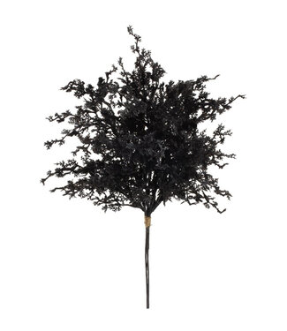 Bouquet de feuilles noires