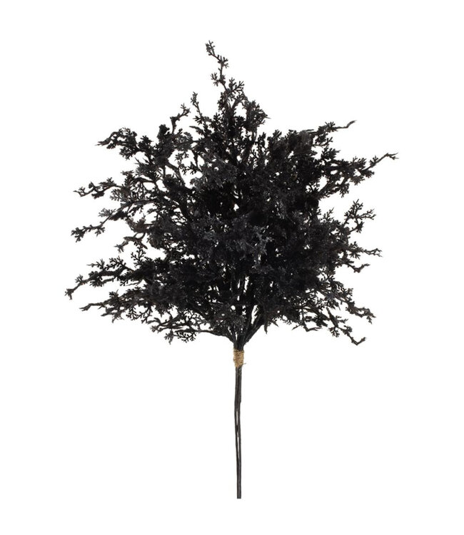 Bouquet de feuilles noires | Ambiance Halloween