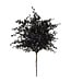 Bouquet de feuilles noires