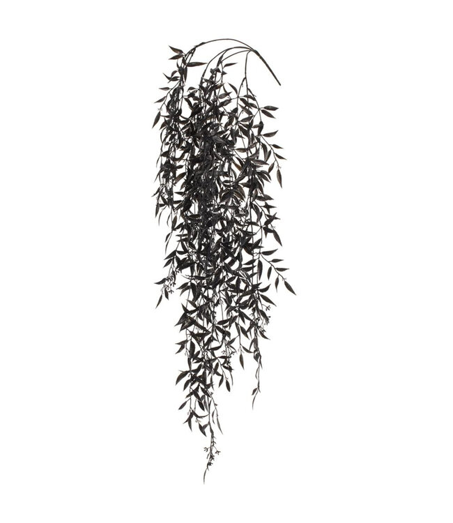 Branche feuilles eucalyptus noir à suspendre | Décor raffiné