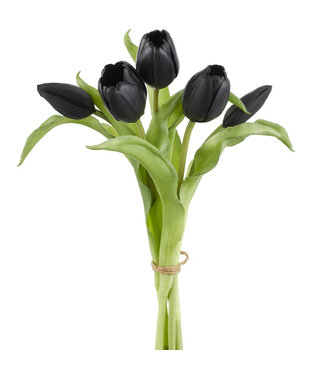 Bouquet de tulipes noires