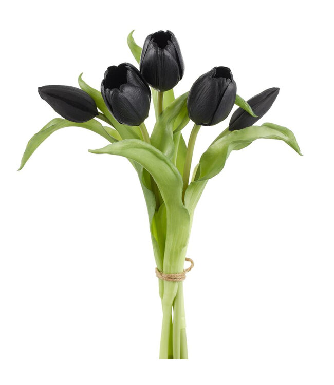 Bouquet de tulipes noires |Élégance intemporelle