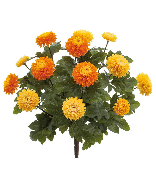 Bouquet de chrysanthème | Chaleur d'automne