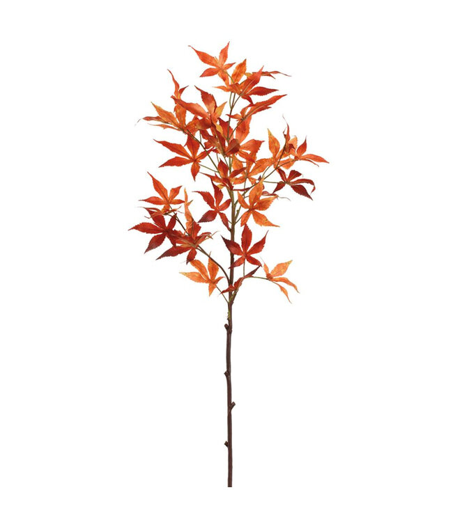 Branche feuilles d'érables japonais rouge | Décor automnal