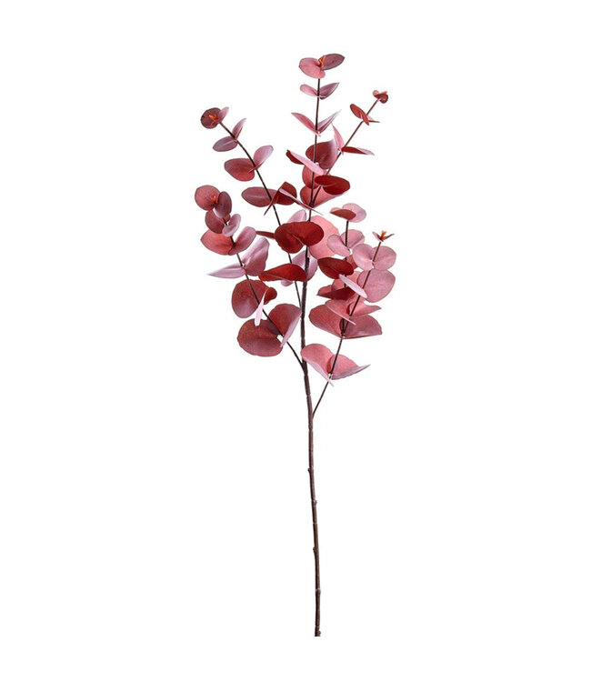 Tige d'eucalyptus rouge bourgogne | Élégance automnale