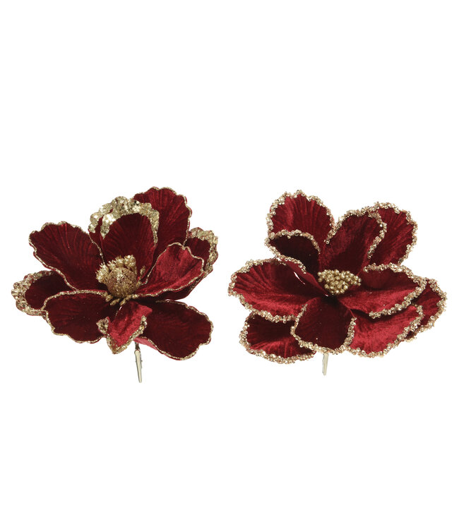 Poinsettia bourgogne et or sur clip (2 ass.) | Fleur décorative élégante de Noël