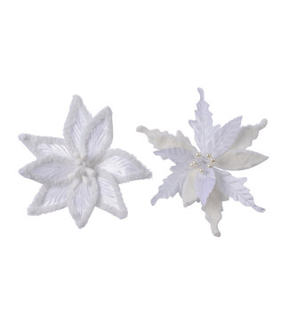 Poinsettia velours blanc sur clip (2 ass.)