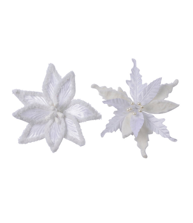 Poinsettia velours blanc sur clip (2 ass.) | Fleur décorative élégante de Noël