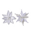 Poinsettia velours blanc sur clip (2 ass.)