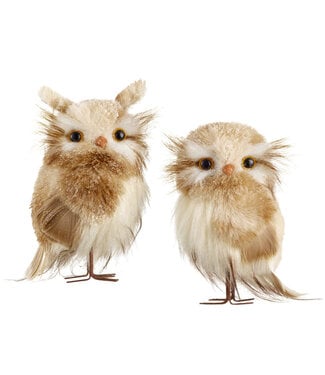 Hibou givré brun et blanc