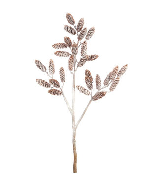 Branche de cocottes enneigées