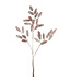 Branche de cocottes enneigées