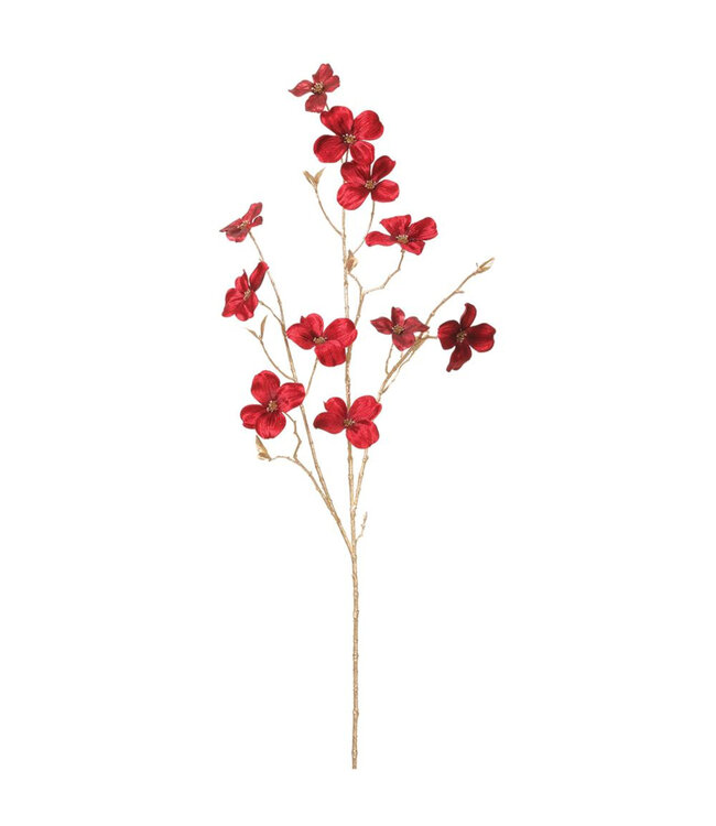 Tige de fleurs rouges velours | élégante