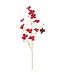 Tige de fleurs rouges velours