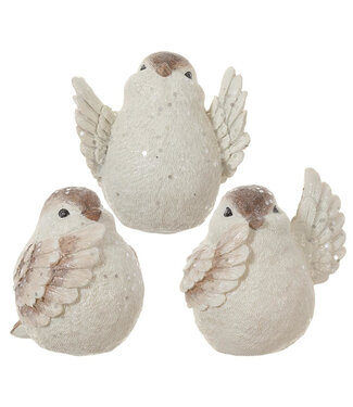 Oiseau brun et blanc