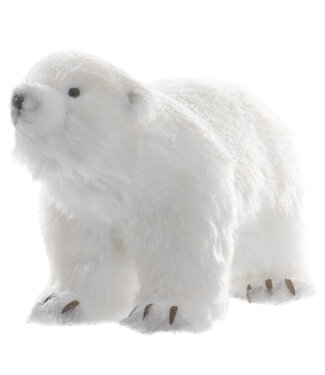 Ours polaire sur pattes