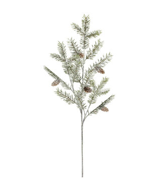 Branche de sapin et cocottes enneigée