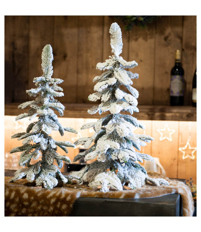 Mini sapin Alpine enneigé  | Douceur hivernal et charme naturel