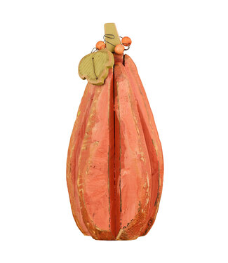 Courge en bois devant 3D