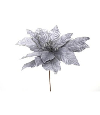 Tige de poinsettia argent