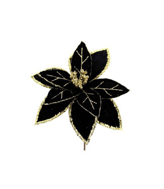 Tige de poinsettia noir bordure or