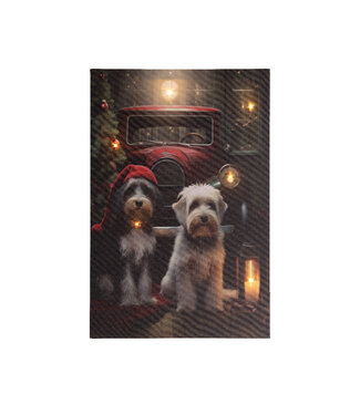 Cadre lumineux du temps des fêtes