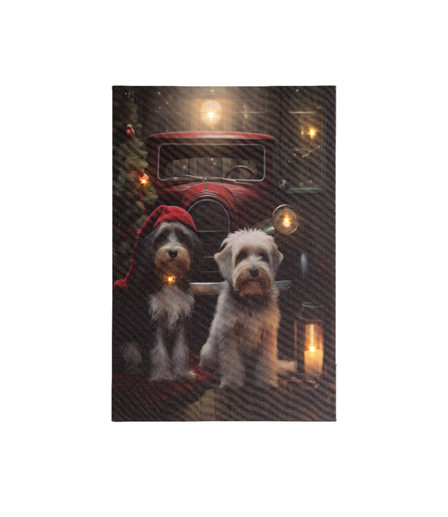 Cadre lumineux du temps des fêtes | Cadre décoratif