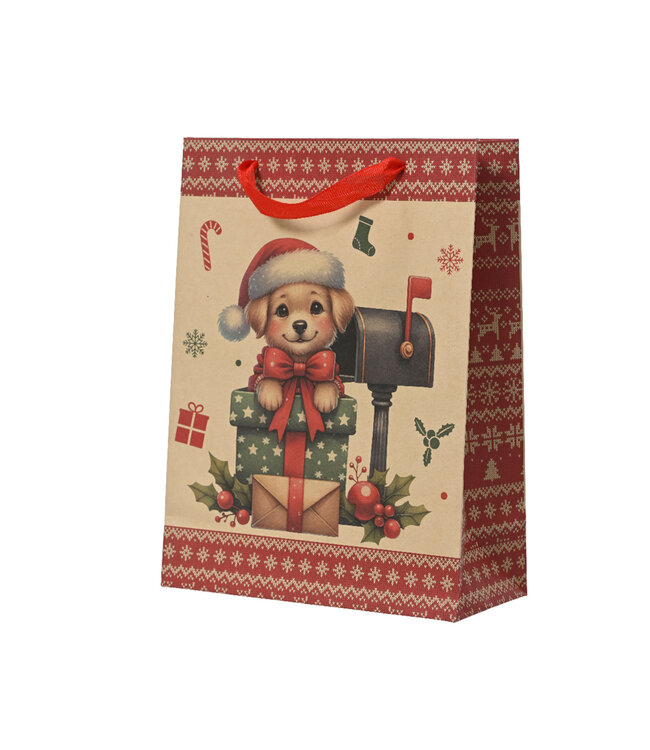 Sac cadeau en papier de Noël |Accessoire pratique et festif