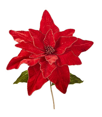 Fleur de poinsettia en velours rouge