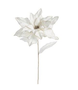 Tige  de poinsettia ivoire