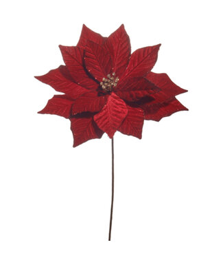 Fleur de poinsettia rouge foncé