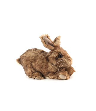 Ditz Designs Bébé lapin brun