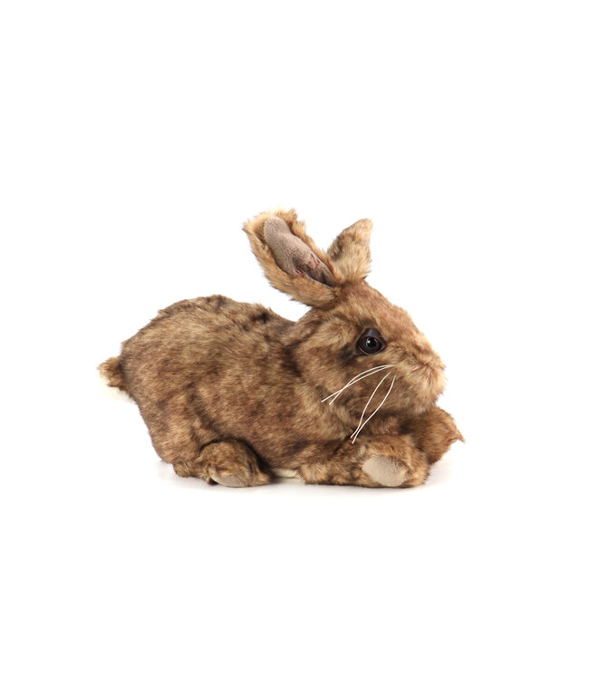 Bébé lapin brun naturel – Compagnon décoratif