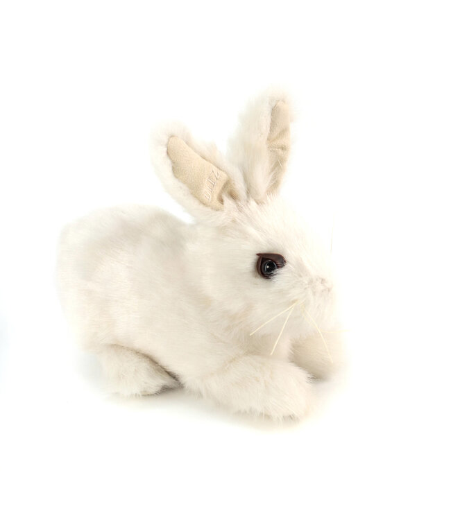 Lapin Baby Snowshoe – Réconfort et douceur