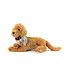 Ditz Designs Chiot Golden Retriever 18 po