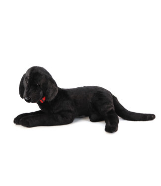 Ditz Designs Chien Labrador