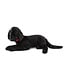 Ditz Designs Chien Labrador