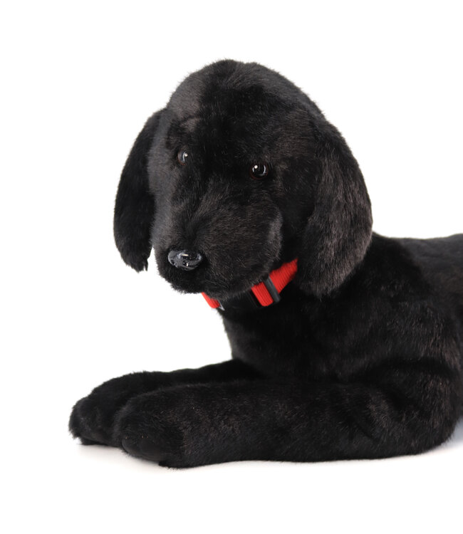 Ditz Designs Labrador noir – Compagnon décoratif élégant
