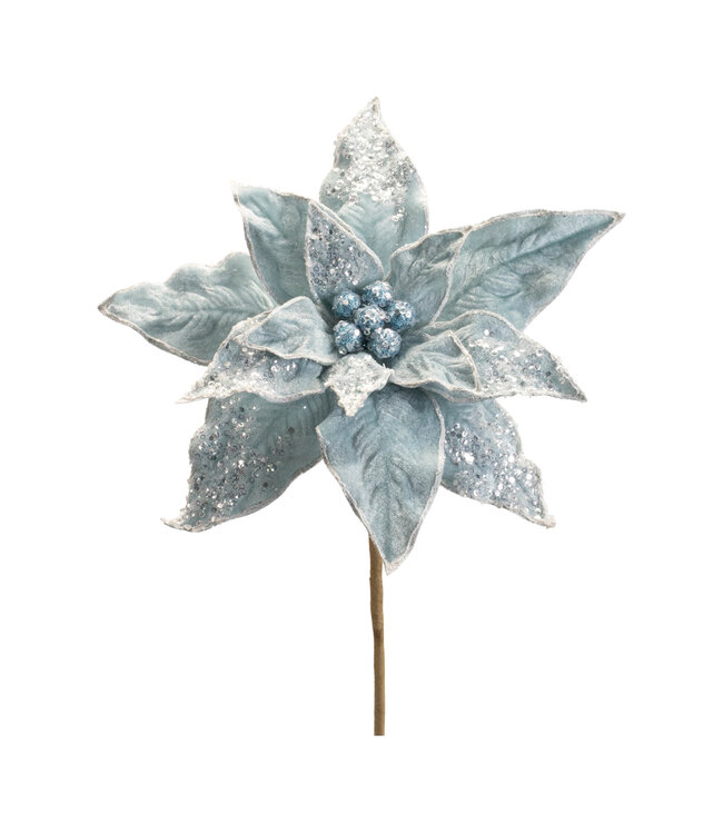 Tige  poinsettia bleu  brillants | Sophistiquée