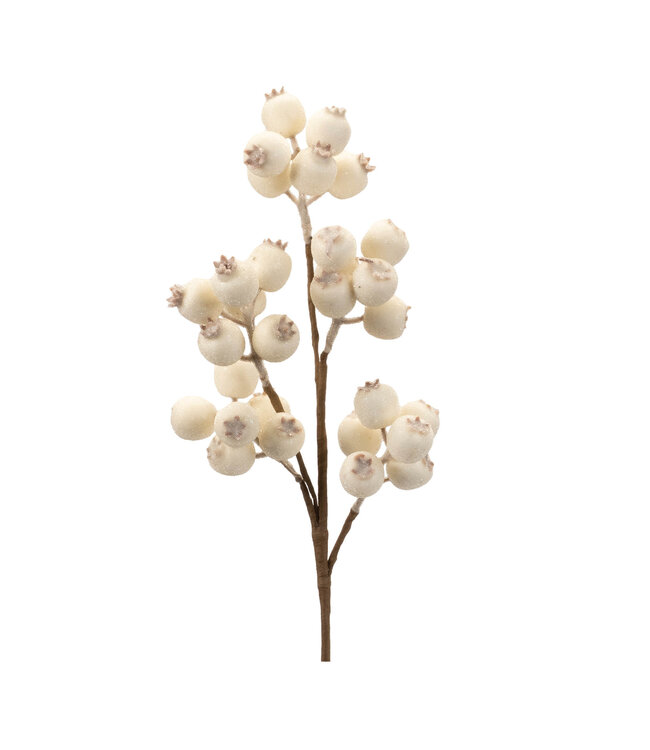 Tige de baies crème  glacées | Immaculée