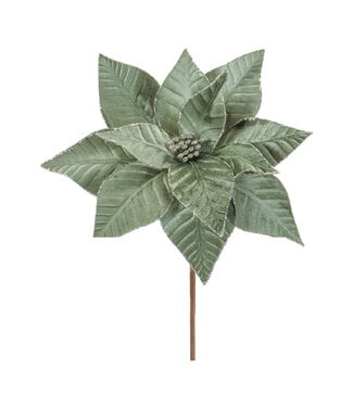 Tige poinsettia velours vert bordure argentée