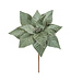 Tige poinsettia velours vert bordure argentée