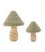 Champignon laine et bois vert brillant